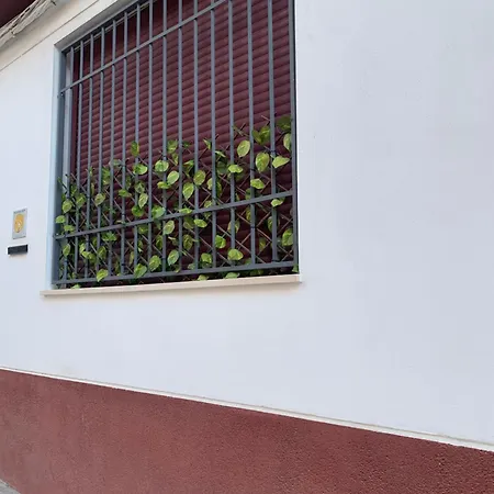 Apartment Estudio Puerta Del Sol Aguilar